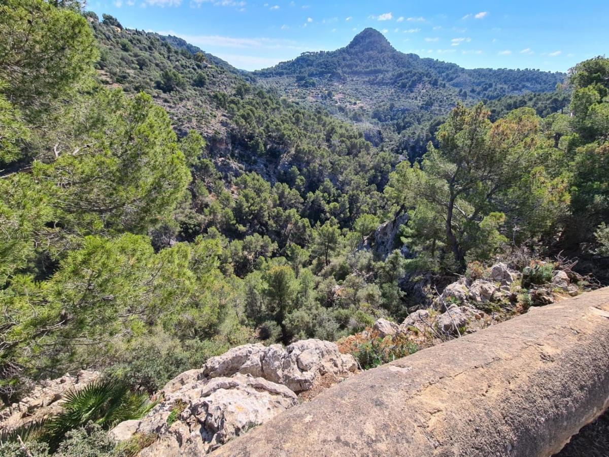 Wunderschoene Ruhige Finca Mit Pool In Galilea Galilea  Exteriör bild