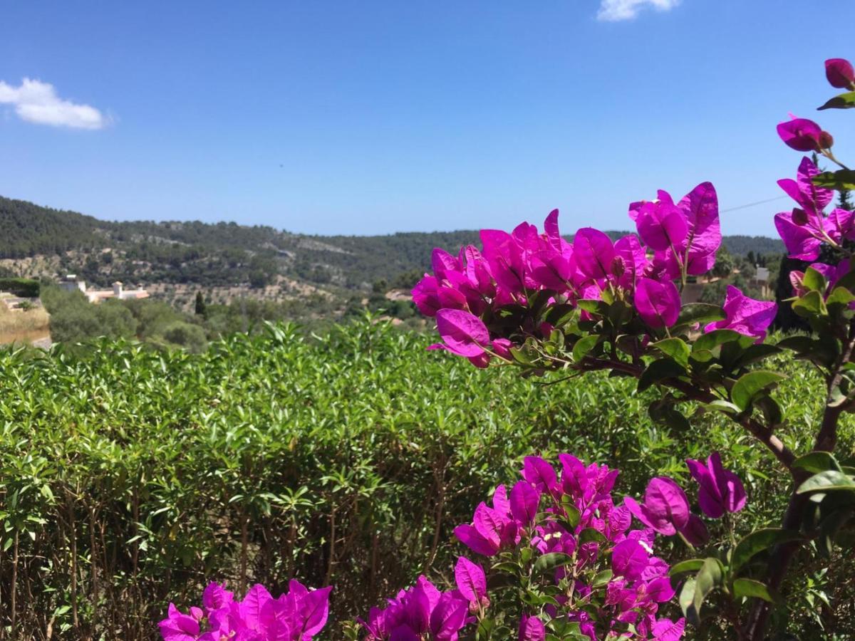 Wunderschoene Ruhige Finca Mit Pool In Galilea Galilea  Exteriör bild