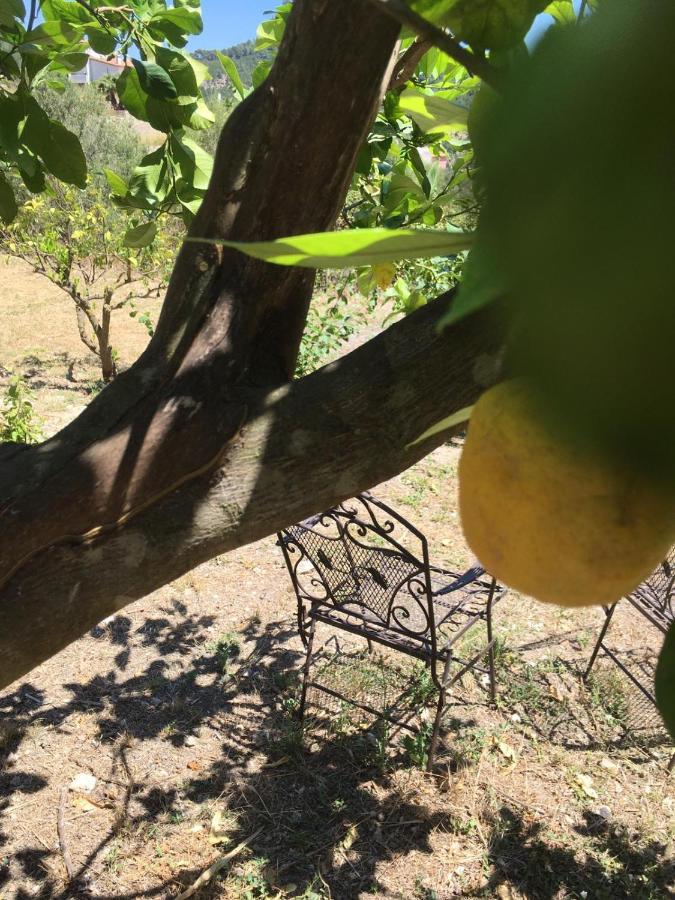Wunderschoene Ruhige Finca Mit Pool In Galilea Galilea  Exteriör bild